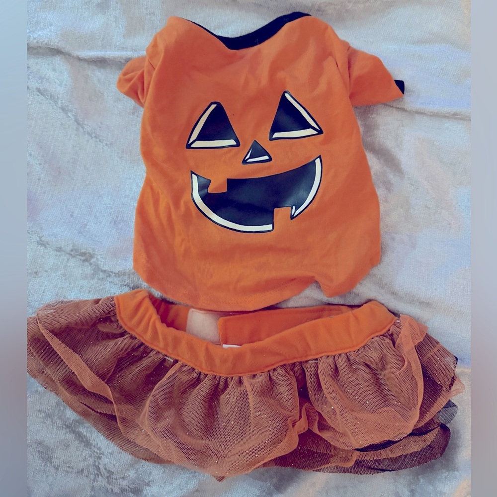 Dog Halloween outfit with tutu